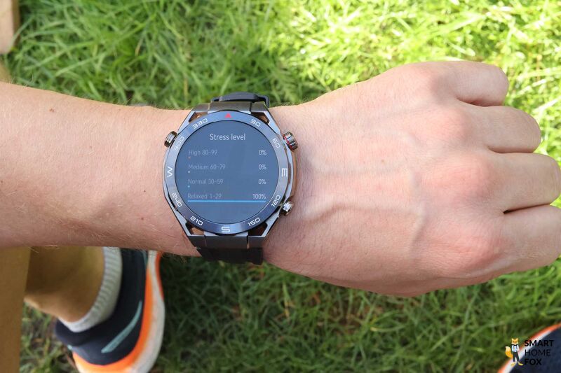 Man sieht das Stresslevel auf der Huawei Watch Ultimate.